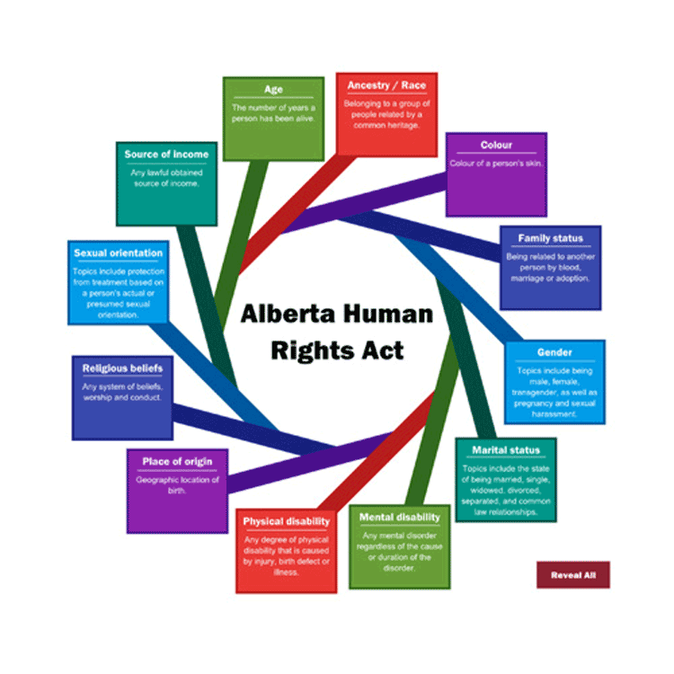 Human Rights animated graphic